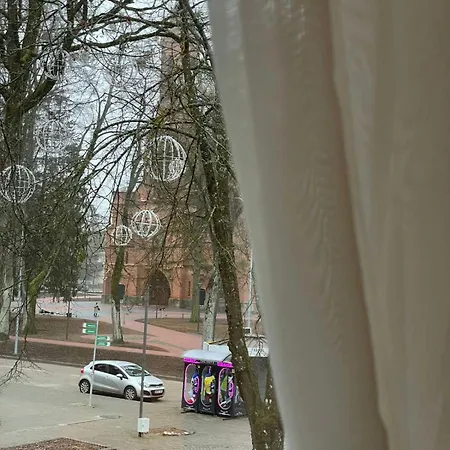 Apartament Taikos Apartmentai 2 *