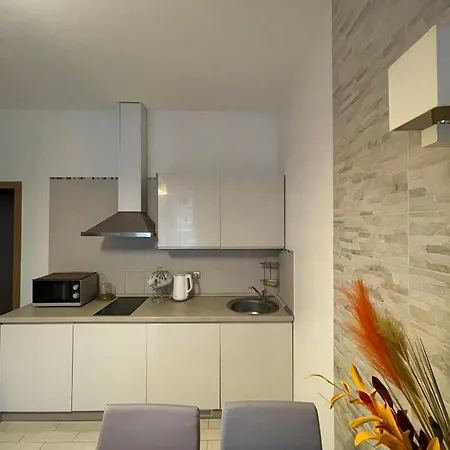 Taikos Apartmentai 2 Apartament Druskieniki