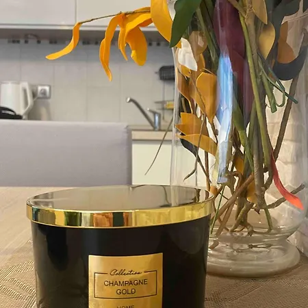 Taikos Apartmentai 2 * Druskieniki