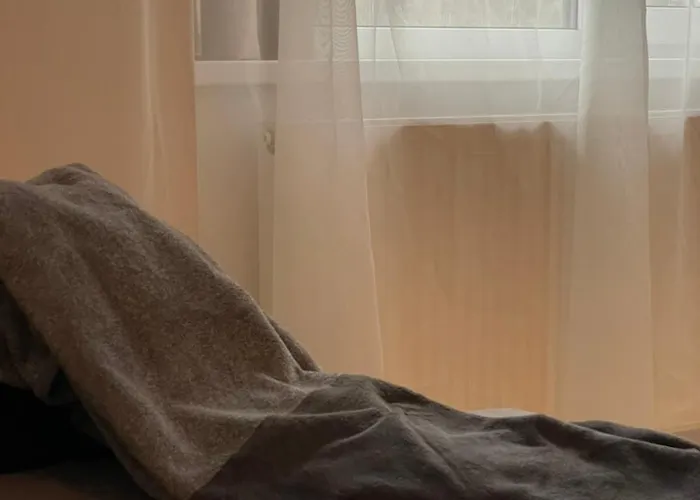 Taikos Apartmentai 2 Apartment